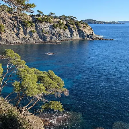 Lejlighed Avec Jardin, Clim & Piscine - Proche Plages Et Randos, Parking Prive - La Girelle