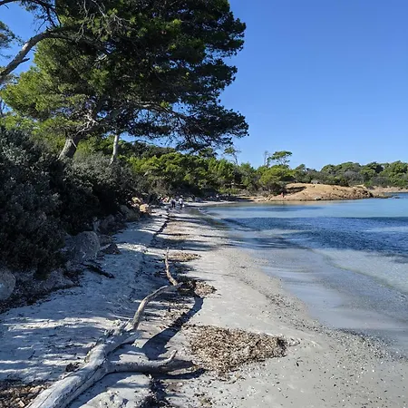 Lejlighed Avec Jardin, Clim & Piscine - Proche Plages Et Randos, Parking Prive - La Girelle Hyères